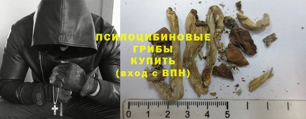 дживик Каменка