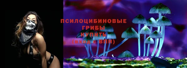 ECSTASY Каменск-Шахтинский