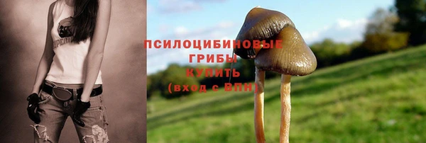 ECSTASY Каменск-Шахтинский