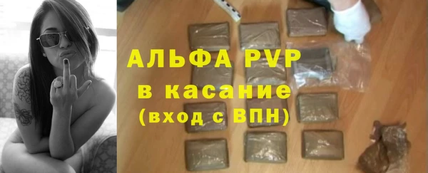 дживик Каменка