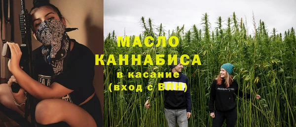 дживик Каменка