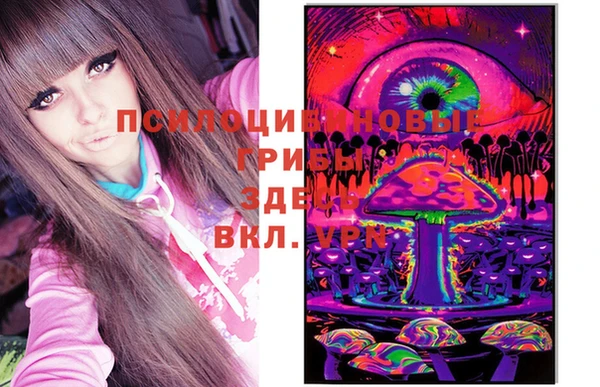 дживик Каменка