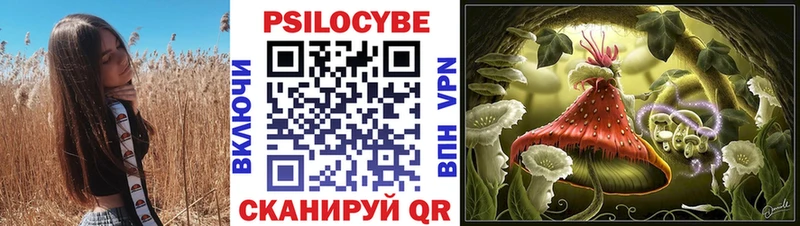 Галлюциногенные грибы Cubensis  Козловка 